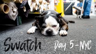 Famous Swatch from Project runway and downtown NYC - Day 5