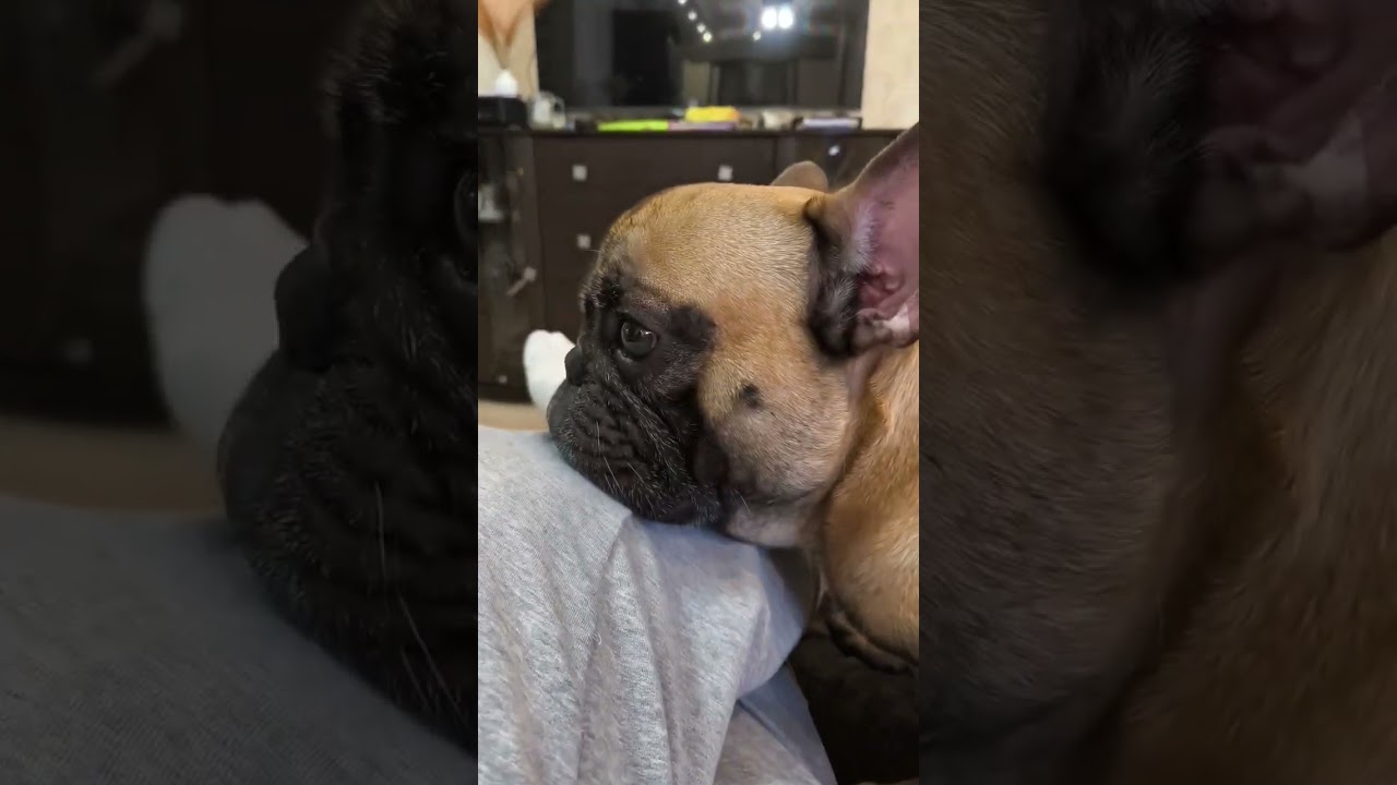 Пошёл 3-й день обиды 