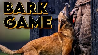 Reactive Dog? Watch This! The Barking Game