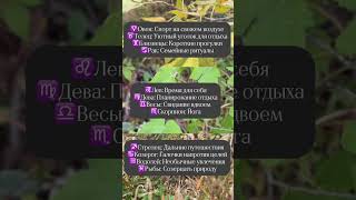 Как расслабиться и найти внутренний покой по знаку своей Луны🌛