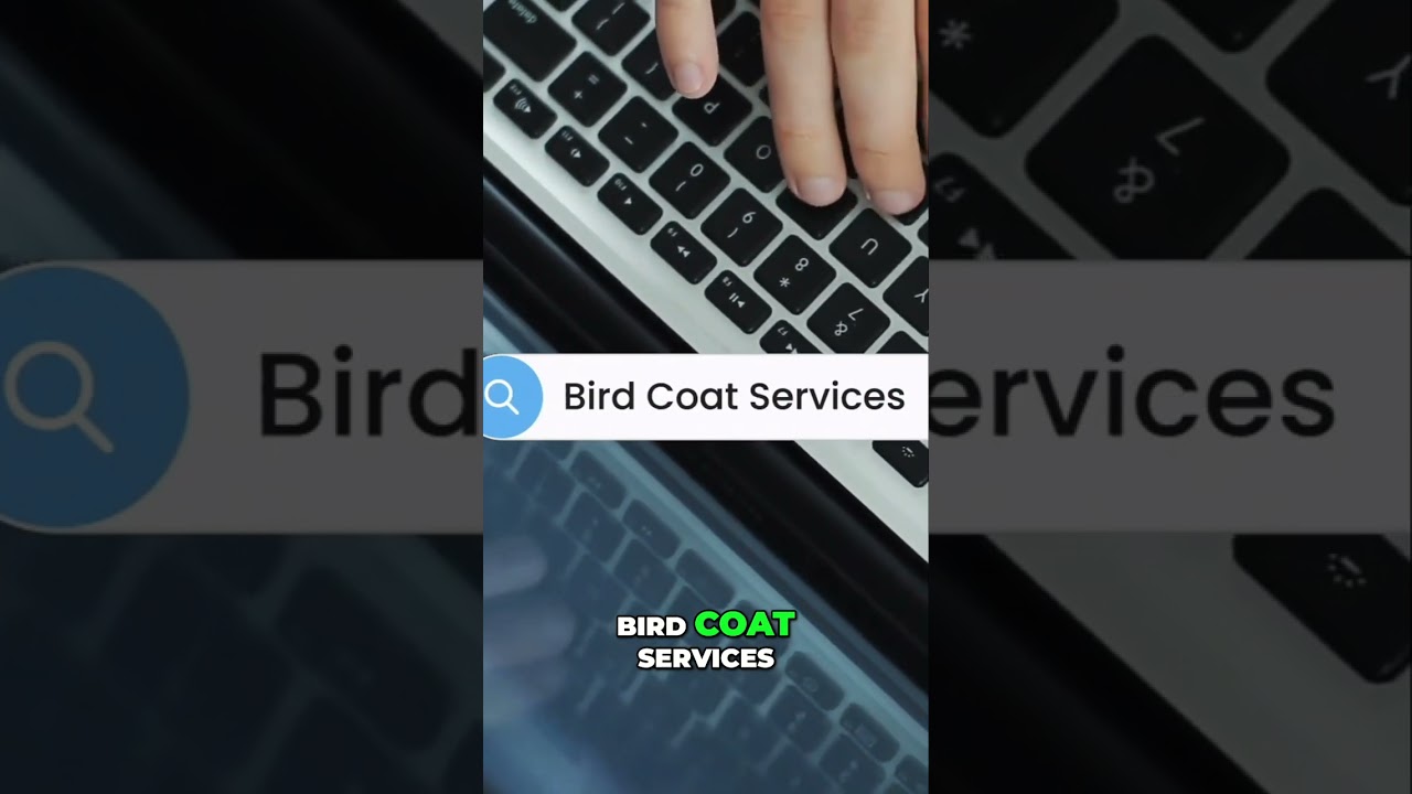 🐤 Google Ads Keyword Siloing: Bird Care Domination 🎯