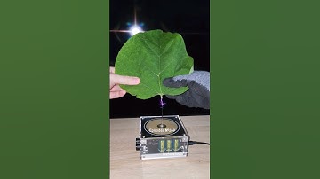 🍃 Music Tesla Coil #experiment #leaf #shorts