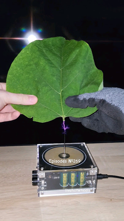 🍃 Music Tesla Coil #experiment #leaf #shorts