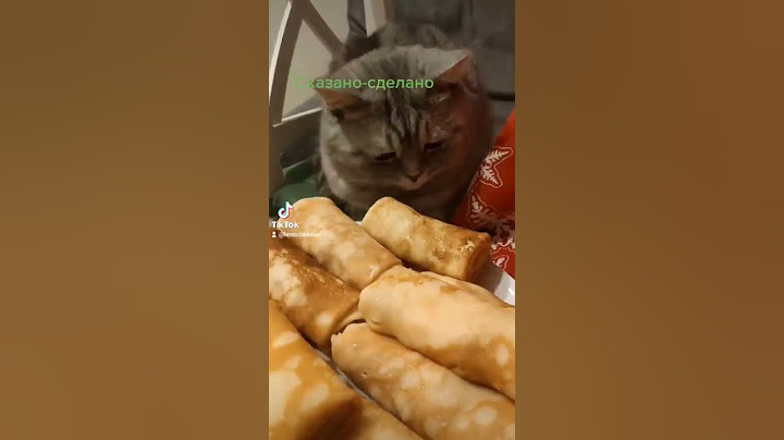 Кот захотел блинов на масленицу #масленица #блины #блинчики #сметана #кот #котики #cats #приколы