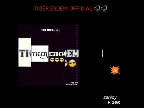 TIGER E3DEM 🎧🎧 BALLA MA DE2 FIKK 💥💥