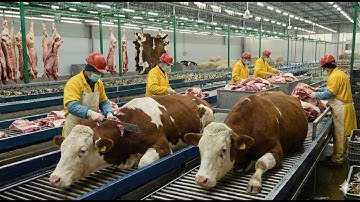 From Premium Cattle to Prime Cuts: How High-Quality Beefsteak Is Made