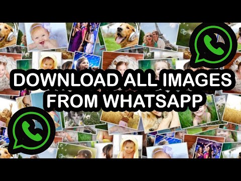 Download all /