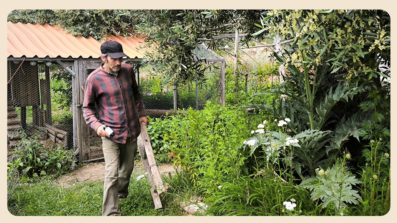 How We're Trying to Outsmart the Thieves.. | Off-Grid Family Homestead