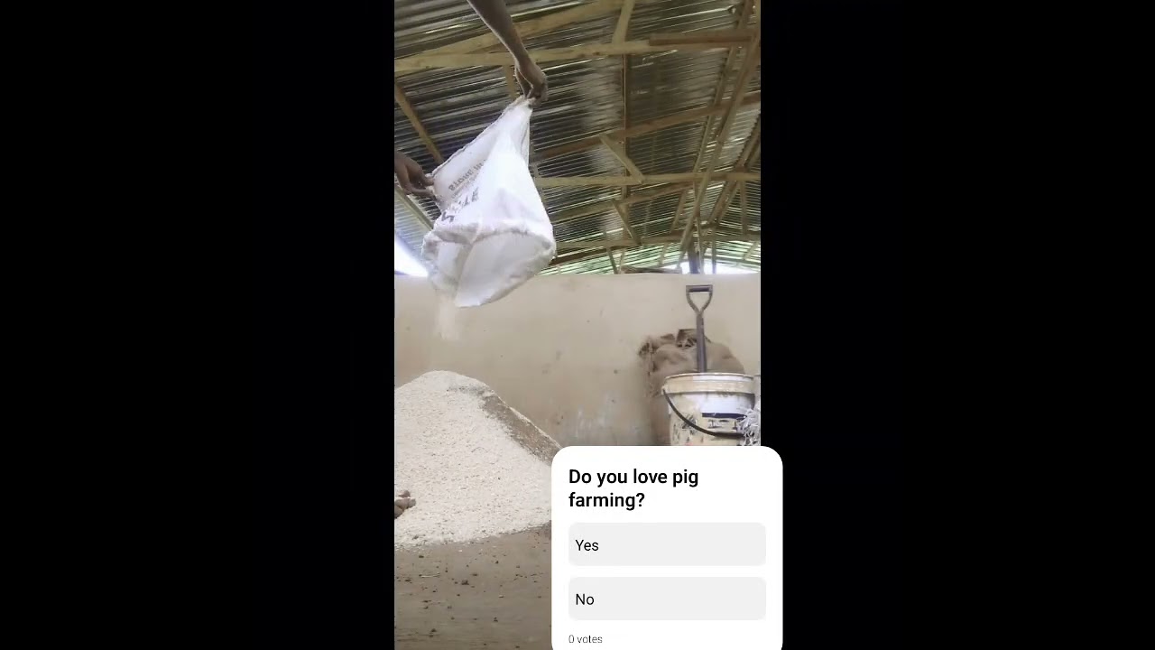 How To Mix Your Pig Feed In 60 seconds. 