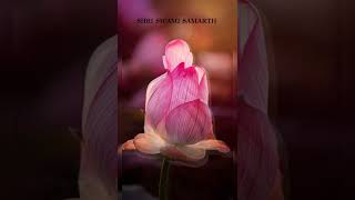 # Swami samarth images by flowers.# viral short video
