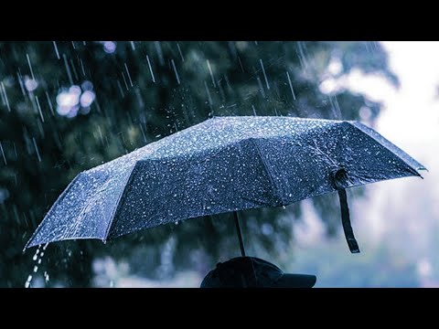 FREE  - HANYA BUAT KAU MARAH (OFFICIAL LYRIC VIDEO)