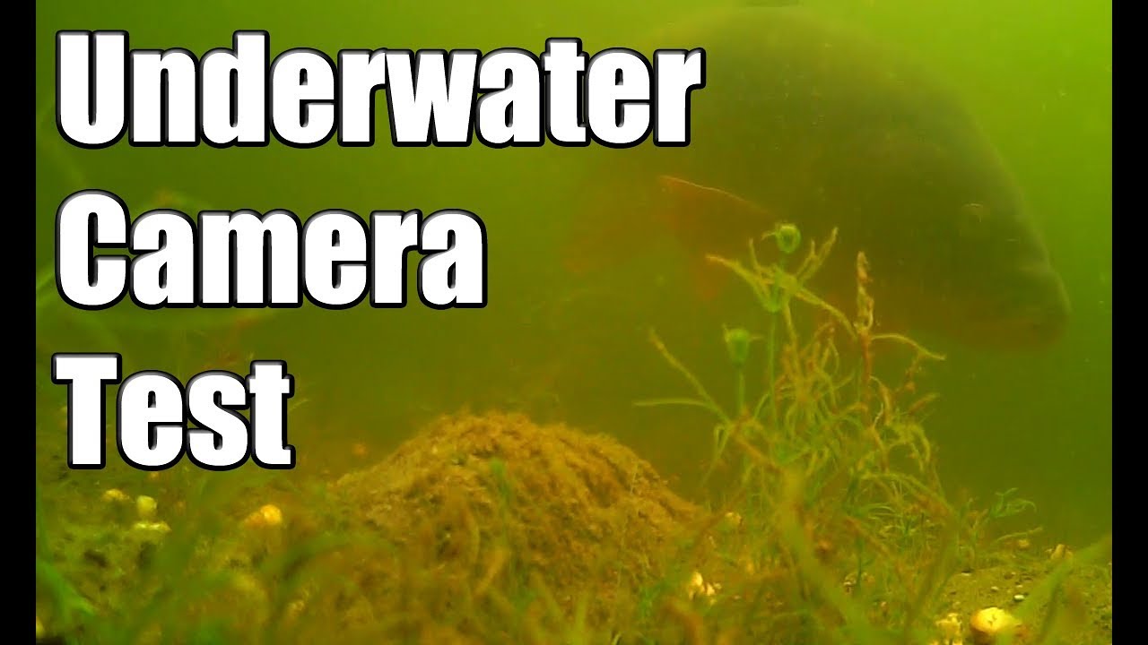 Underwater Carp Fishing (First Camera Test) YouTube