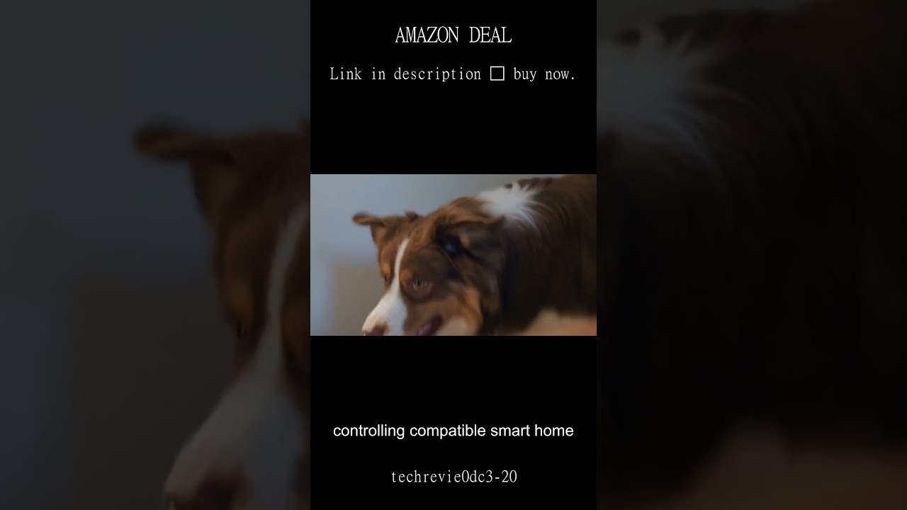 Discover the New Amazon Echo Dot with Alexa Perfect Sound for Bedrooms Offices and More