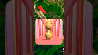 I found coconut shell Google Earth Google map statue #song #codingadventures #coolcoding #codeplay