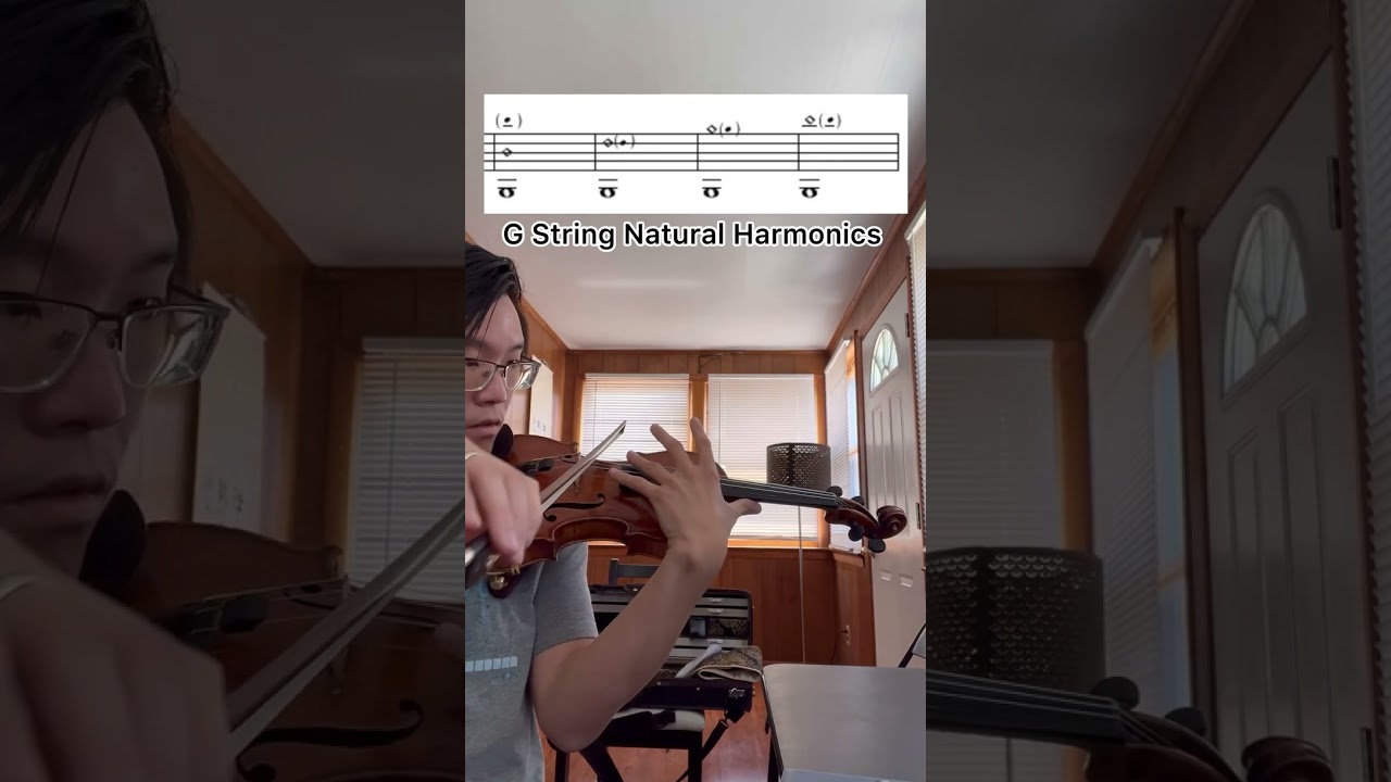 G String Natural Harmonics 