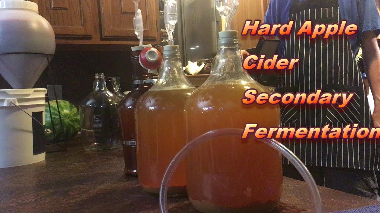 Hard Apple Cider Part 2 Secondary Fermentation YouTube