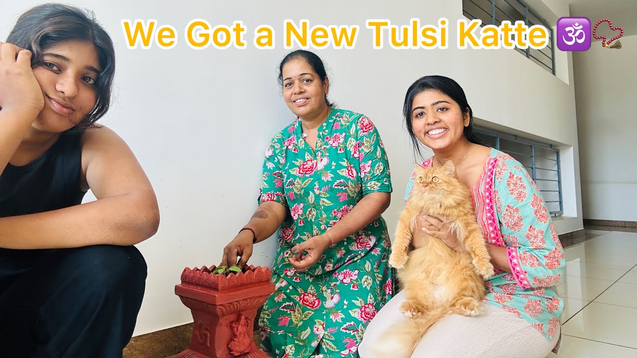 We Got a New Tulsi Katte! 🌸✨| Tulu Vlog