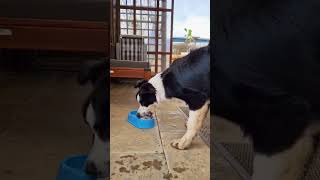 5 Марта 2023 Г.