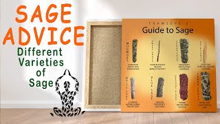 Smudging Guide to different kind of sage - SAGE ADVICE Sage Advice Smudging Guide To Different Kind Of Sage
