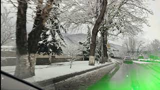 Aylin - A Letter Never Sent