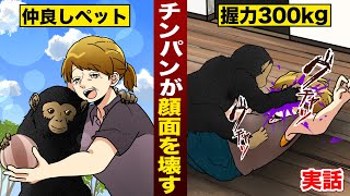【実話】チンパンジーが顔面を握り潰す...仲良しだったのに...握力300kgでグチャグチャ。