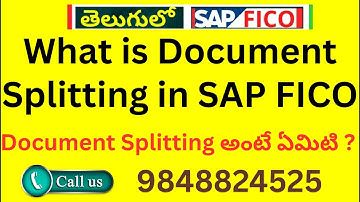 What is Document Splitting in SAP FICO (SAP FICO) SAP FICO