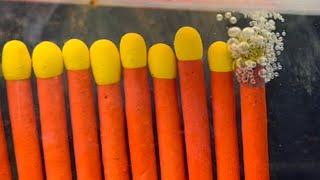 Underwater Combustion in RamZland!🔥 #STEM #Science #STEMEducation #RamZland