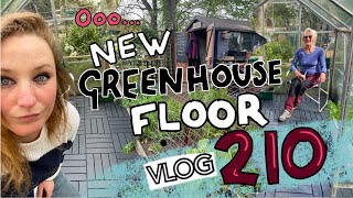 Pimping the Greenhouse for Spring! Plus New Rhubarb and The Dahlia Bed. Ep210 || Plot 37