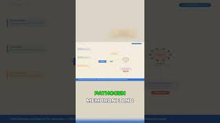 The Ultimate Internal Targeting System (COATPRO)