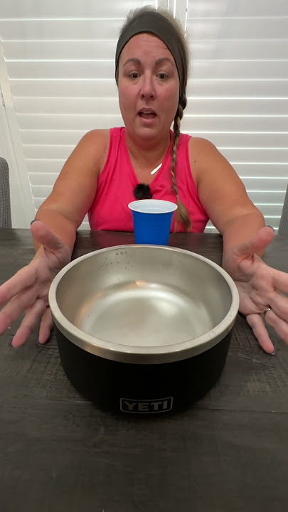 Yeti Boomer Dog Bowl - Is It Worth the Money?