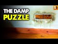 Why Your Damp Problem Isn't What You Think It Is