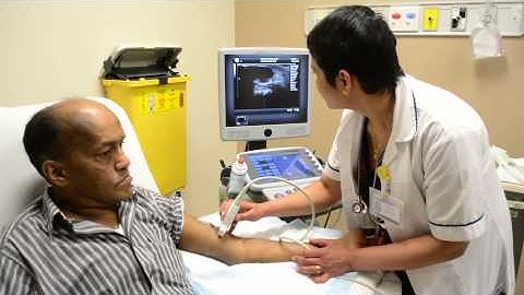 Vascular Access Assessment & Cannulation Bedside Training Video