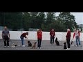 Nottingham Dog Trainer. Dog training in Nottingham and Mansfield Nottingham Dog Trainer. Dog training in Nottingham and Mansfield