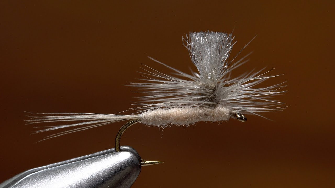 Hendrickson Fly Pattern Cool Design Ideas Hendrickson Fly Pattern Cool Design Ideas