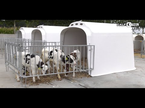Miniatuur van productvideo