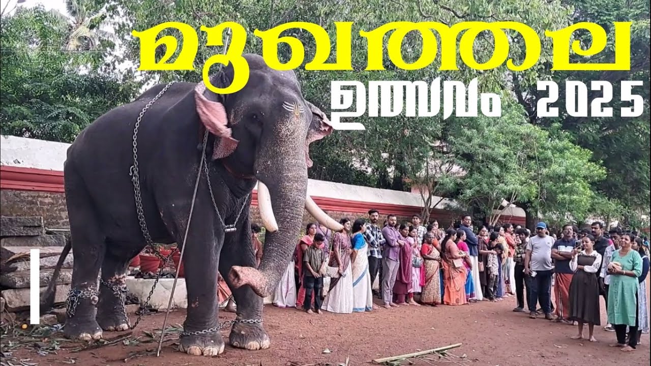 ശിവരാജു മാസ്സ് ലുക്കിൽ 🔥🔥🔥KOLLAM MUKHATHALA TEMPLE FESTIVAL 2025 മുഖത്തല പൂരം