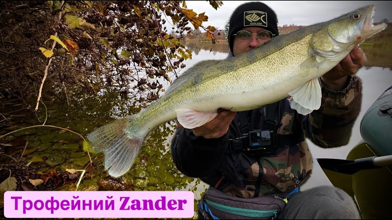 ТРОФЕЙНИЙ СУДАК НА СПІНІНГ|Flagman '24 Blackfire 73L