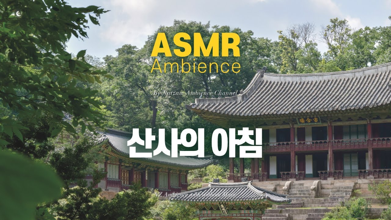 현실 또한 한낱 찰나의 세월임을🌙바람부는 숲속, 불경과 풍경 소리가 들리는 [산사의 아침] ASMR
