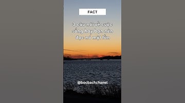 3 câu nói hay bạn nên đọc nó một lần… #subscribe #shortsvideo #life #shorts