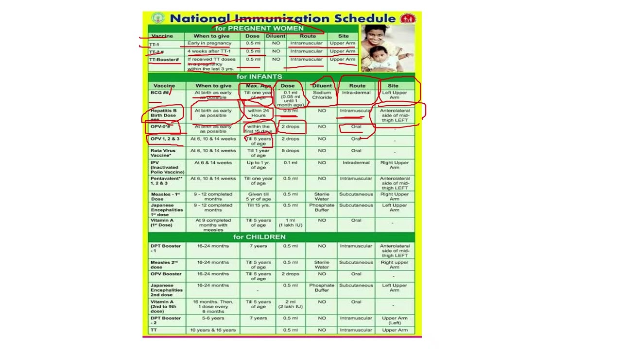 NATIONAL IMMUNITION SCHEDULE || ImmunizationSchedule 
