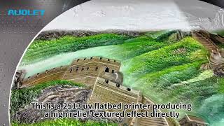 Audley 2513 UV flatbed printer with G6 heads and camera positioning #uvprinter #3dprinting #audley