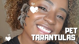 5 Reasons I Love Having Pet Tarantulas