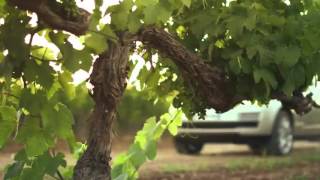 2013 Range Rover launch promo & general views