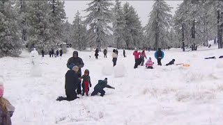 San Diego mountains beat out Big Bear for most snowfall in southern California overnight