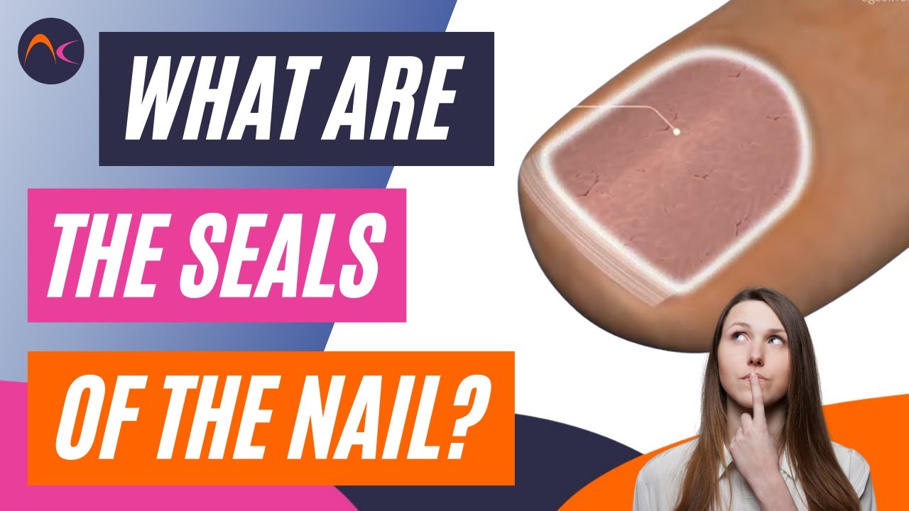 What are the seals of the nail unit? // Cuticle Vs Proximal Nail Fold