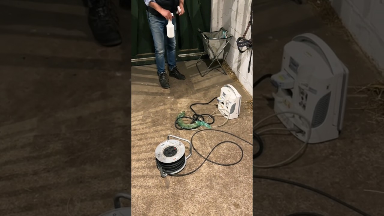 Besamung meiner Stute! 🍼🐴 #equestrian #asmrjanina #pferde #shortsfeed #shortvideo #besamung