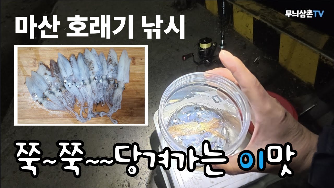 오늘은 호래기가 많은 날!! 청어낚시 갔다가 호래기 잡아왔습니다.  [무늬삼촌TV]