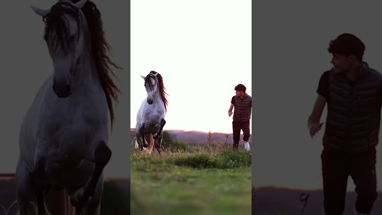 Matt Harnacke and his amazing stallion credit Matt