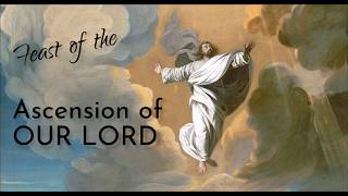 Matthew 28:16-20 ( May 14, 2026 Thursday ) Gospel Reading & Reflection Year A| Ascension of the Lord