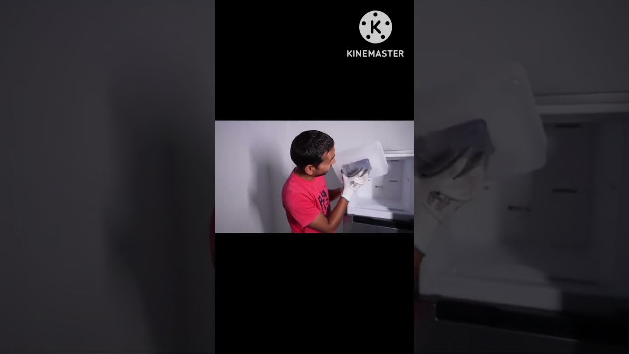 iphone 14 pro max vs pridge alex experiment